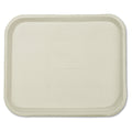 Chinet Savaday Molded Fiber Food Trays, 1-Compartment, 9 x 12 x 1, White, Paper, 250/Carton