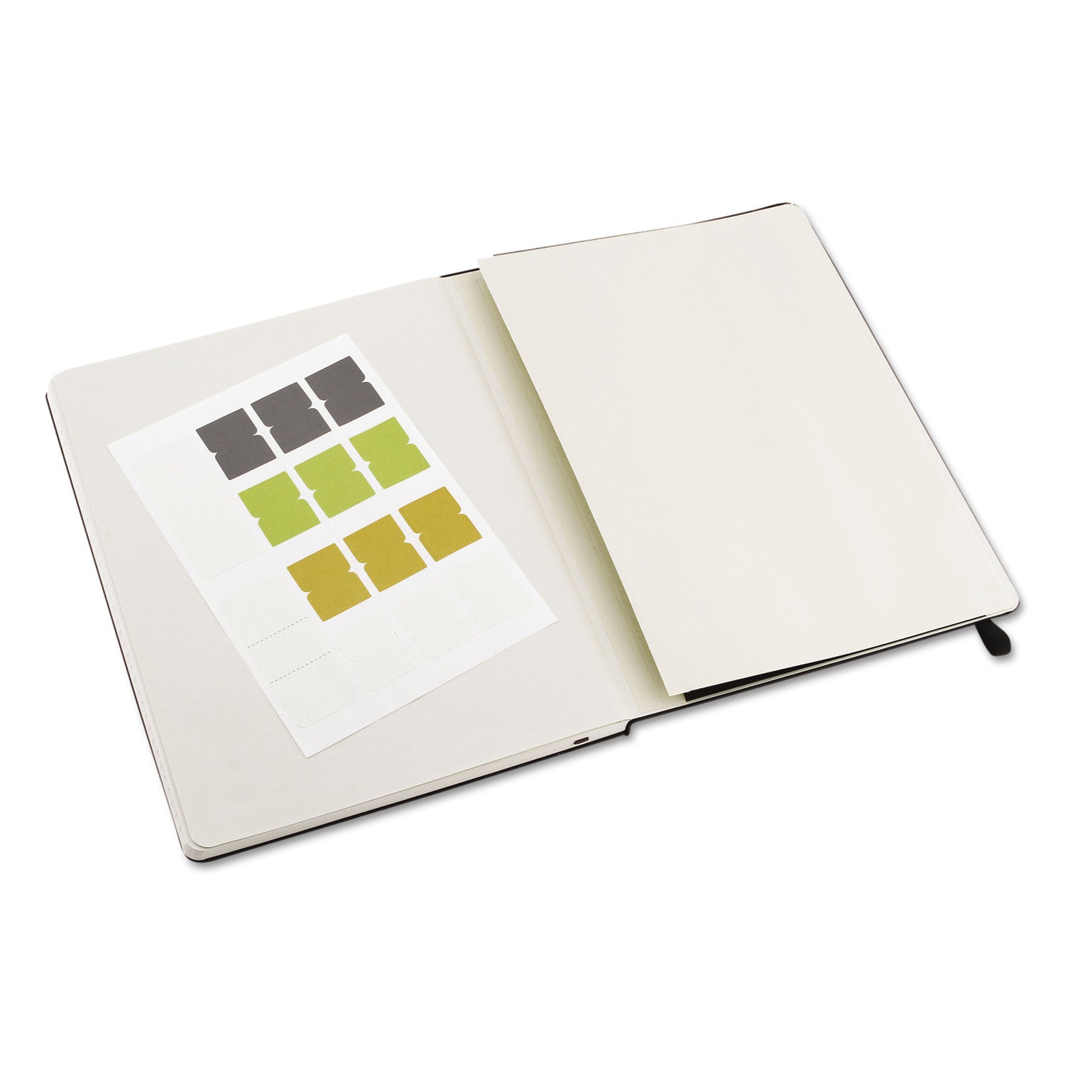 Moleskine Professional Notebook, Hardcover, 1 Subject, Narrow Rule, Black Cover, 9.75 x 7.5, 192 Sheets