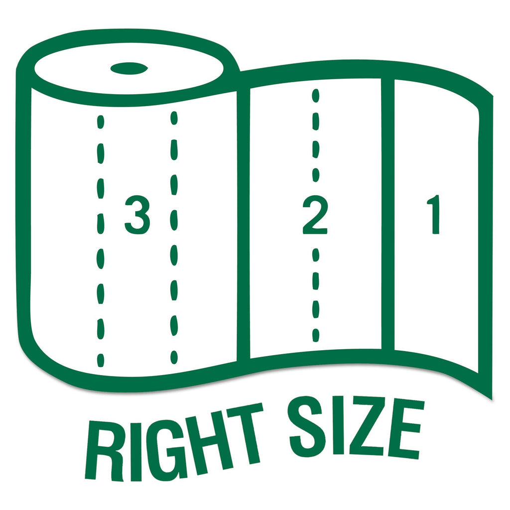 Seventh Generation 100% Recycled Paper Kitchen Towel Rolls, 2-Ply, 11 x 5.4, 156 Sheets/Roll, 24 Rolls/Carton