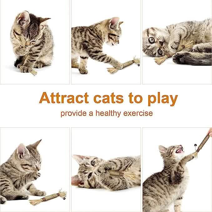 3-Pack: Silvervine Sticks Cat Toys