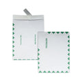 Quality Park Ship-Lite Envelope, First Class, #13 1/2, Cheese Blade Flap, Redi-Strip Adhesive Closure, 10 x 13, White, 100/Box