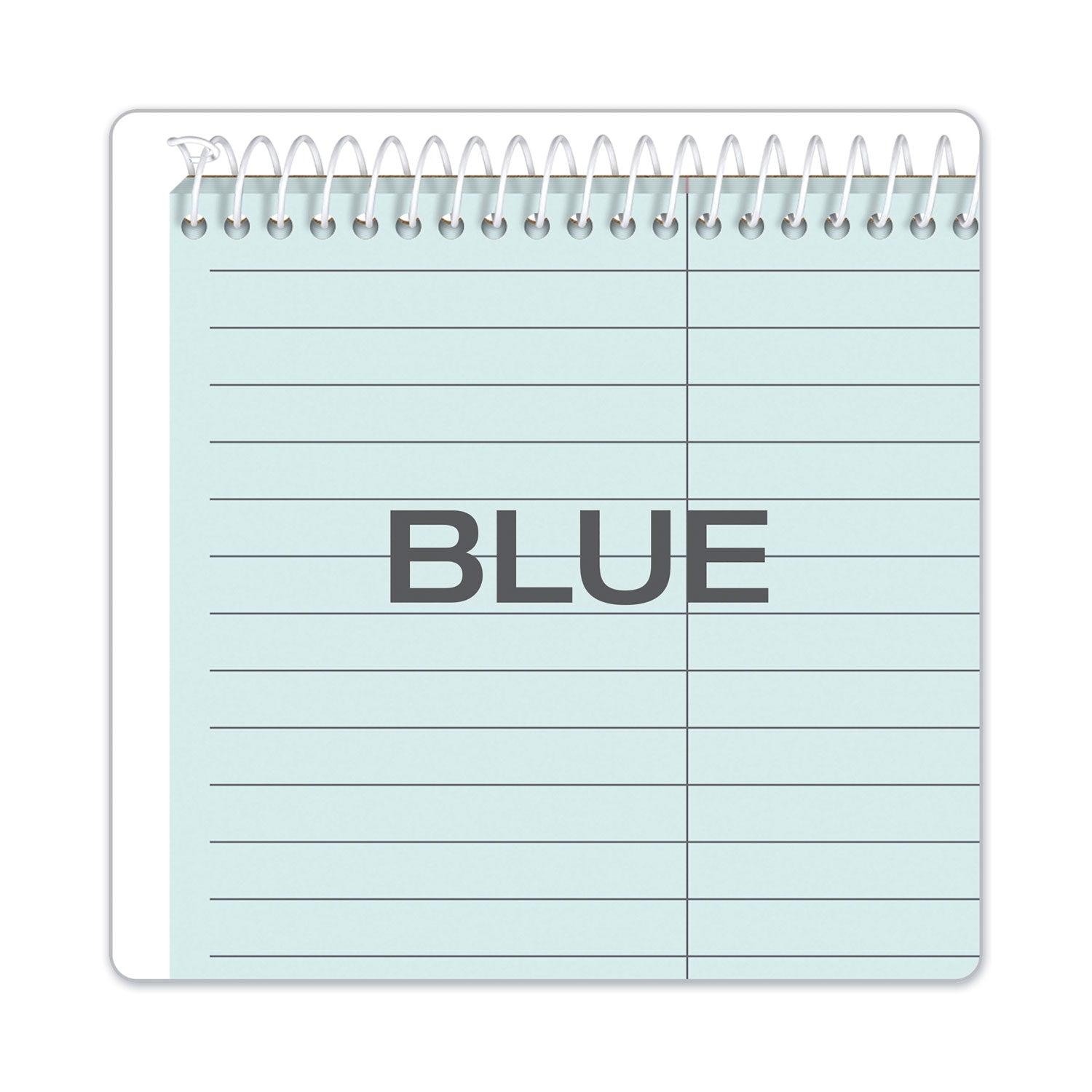 TOPS Prism Steno Pads, Gregg Rule, Blue Cover, 80 Blue 6 x 9 Sheets, 4/Pack
