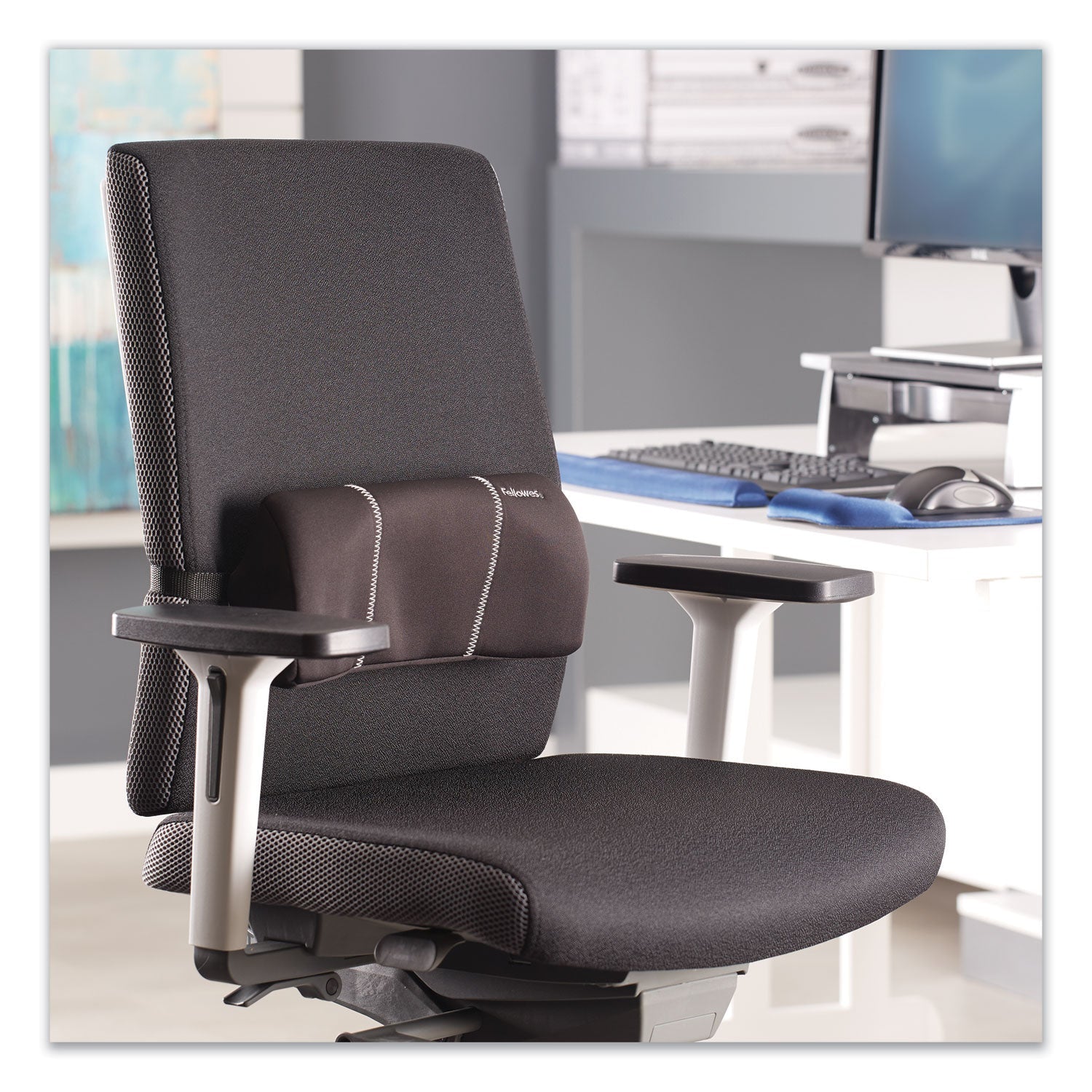 Fellowes Lumbar Back Support, 12 x 3.13 x 5.19, Black