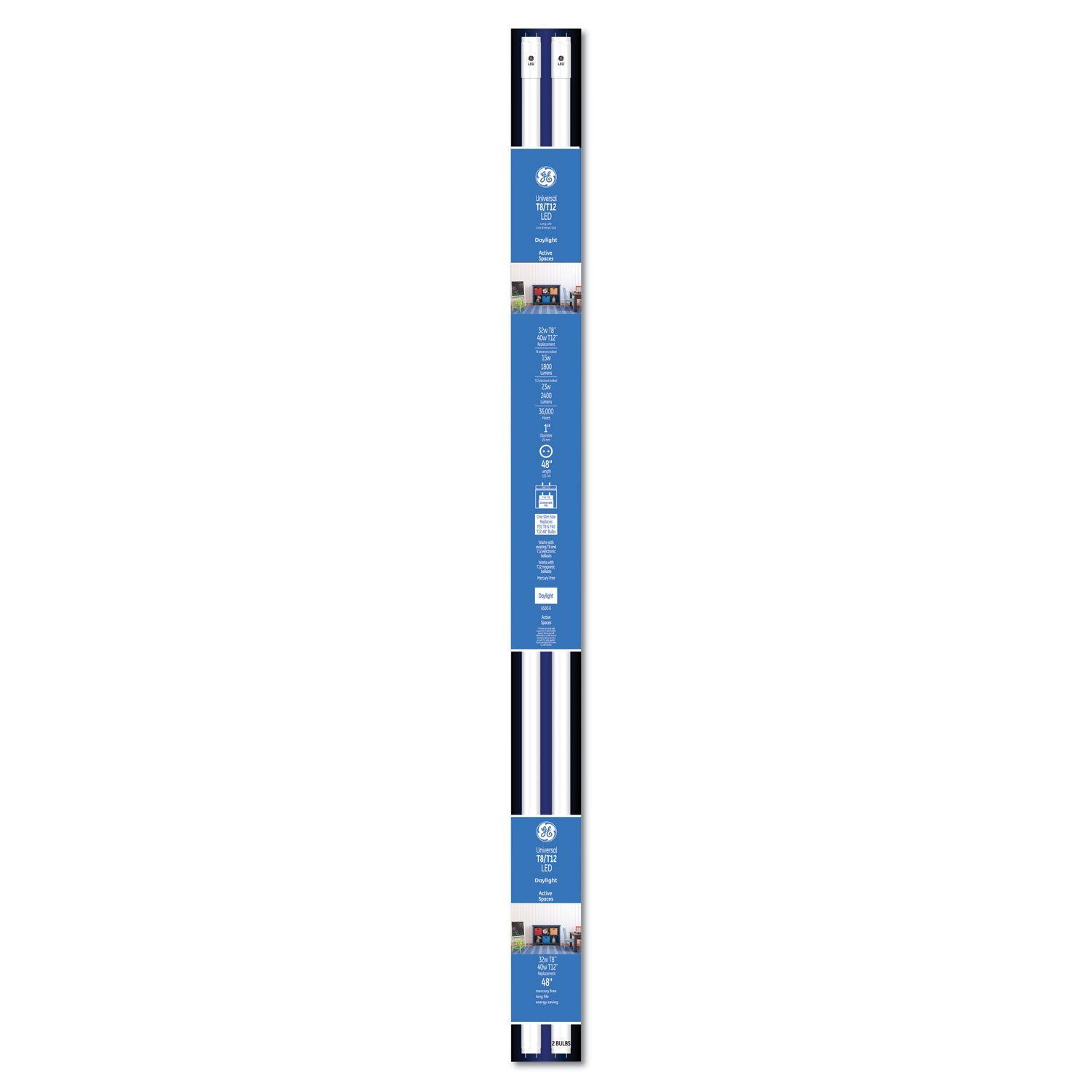 GE 48" T8/T12, 40 W, T8 Tube, Daylight, 6/Carton