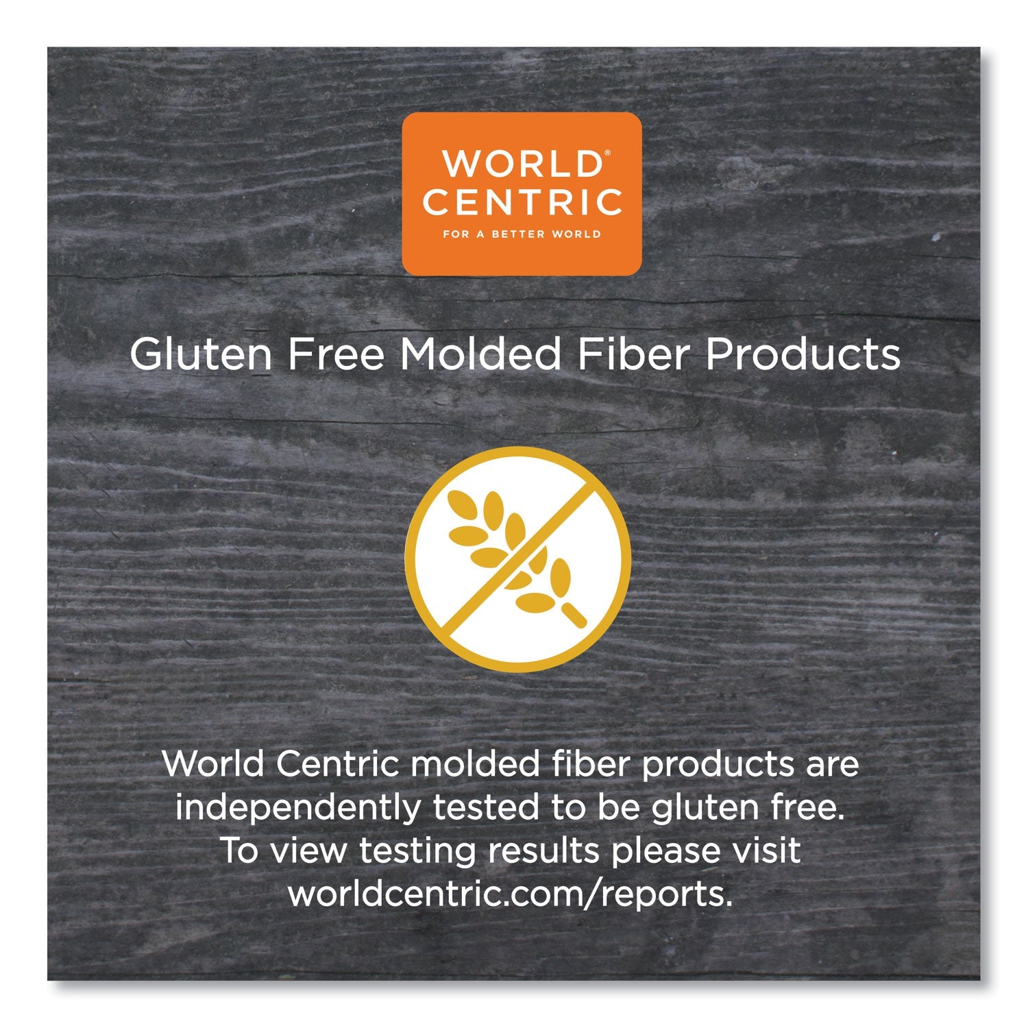 World Centric Fiber Hinged Hoagie Box Containers, 2-Compartment, 9 x 6 x 3, Natural, Paper, 500/Carton