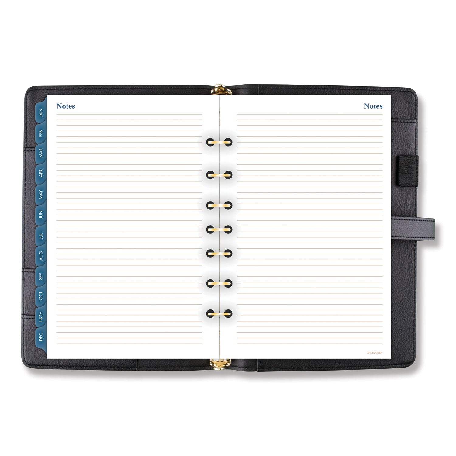 AT-A-GLANCE Buckle Closure Planner/Organizer Starter Set, 8.5 x 5.5, Black Cover, 12-Month (Jan to Dec): Undated