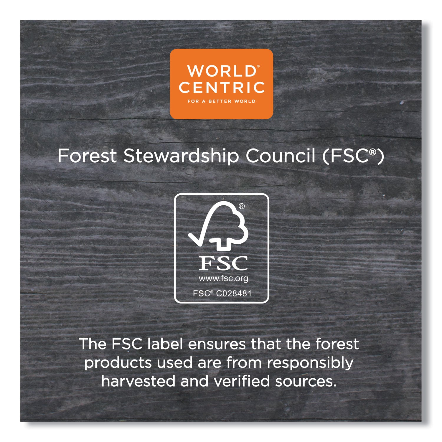 World Centric Fiber Container Sleeves, World Centric Leaf Design, 7.5" x 10" x 3.25", Natural, Paper, 800/Carton