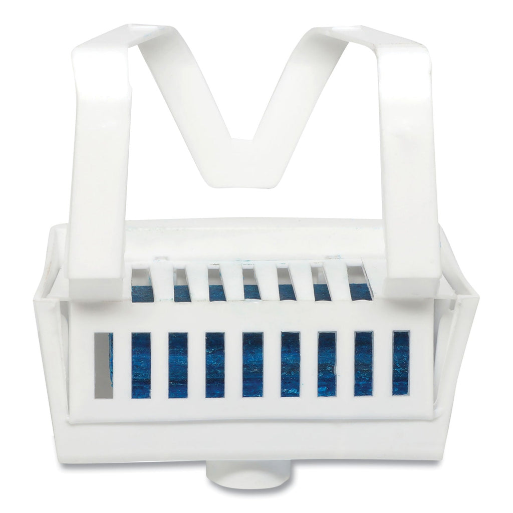 Big D Industries Non-Para Toilet Bowl Block, Lasts 30 Days, Evergreen Scent, White, 12/Box