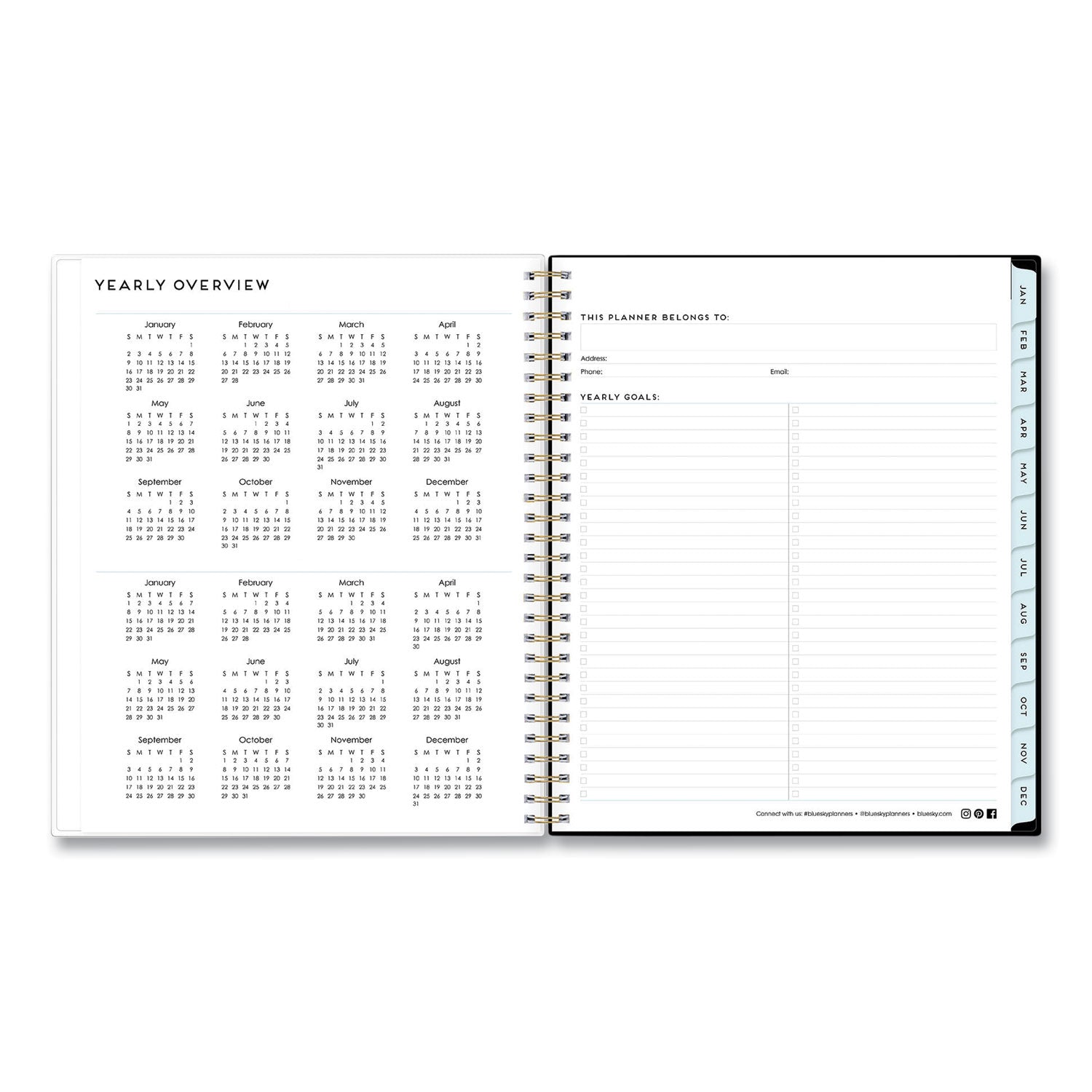 Blue Sky Baccara Dark Monthly Planner, Baccara Dark Floral Artwork, 10 x 8, Gray/Black/Gold Cover, 2023