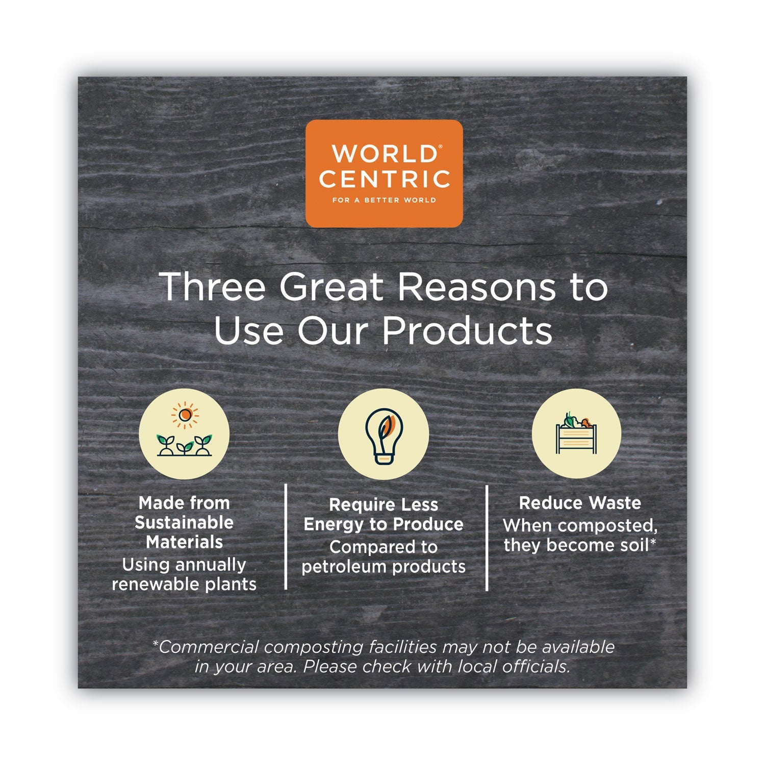 World Centric TPLA Compostable Cutlery, Spoon, 6", White, 750/Carton