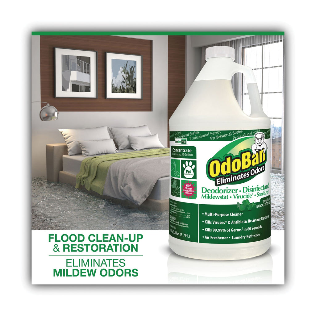 OdoBan Concentrated Odor Eliminator, Eucalyptus, 1 gal Bottle, 4/Carton