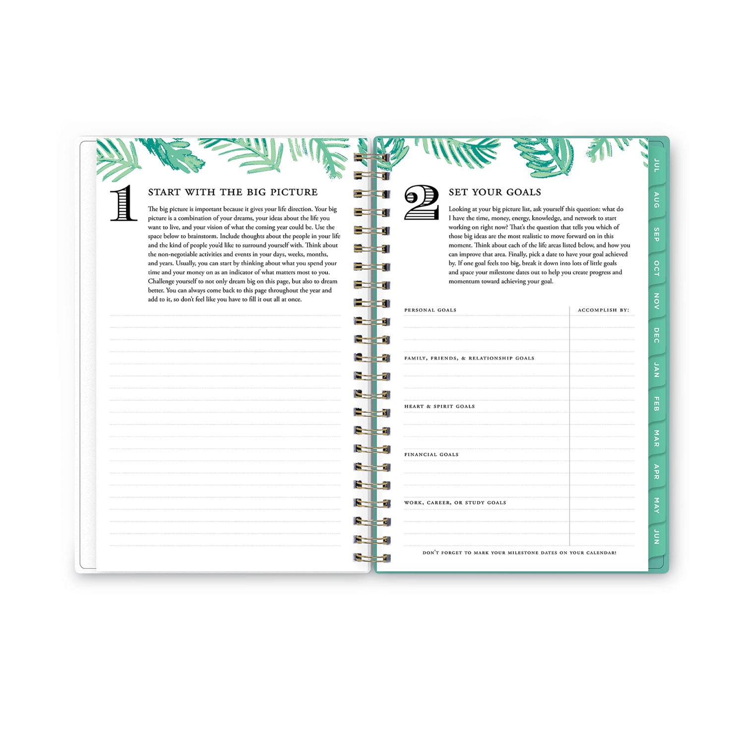 Blue Sky Day Designer Academic Year Weekly/Monthly Frosted Planner, Palms Artwork, 8 x 5, 12-Month (July-June): 2022-2023