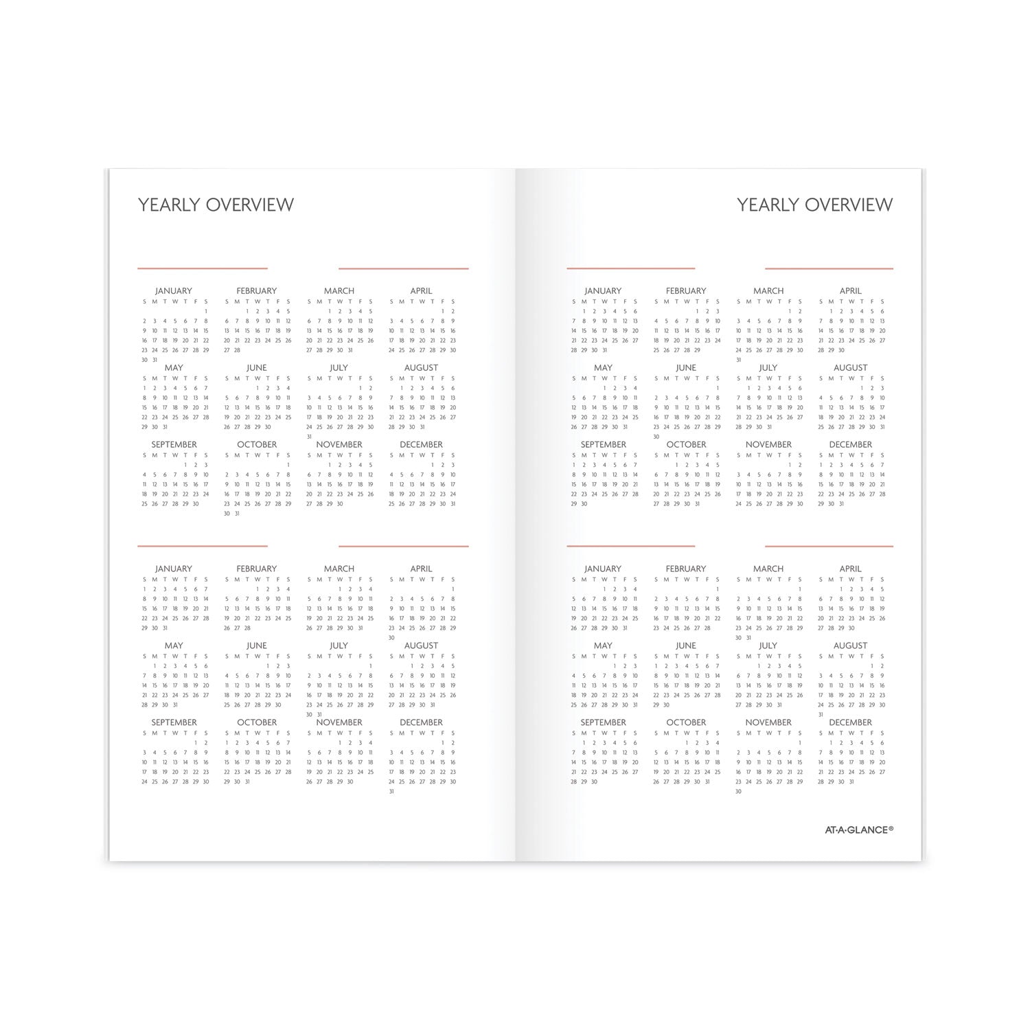 AT-A-GLANCE Badge Floral Two-Year Monthly Planner, Badge Floral Artwork, 6 x 3.5, Blue/Green Cover, 24-Month (Jan to Dec): 2023 to 2024