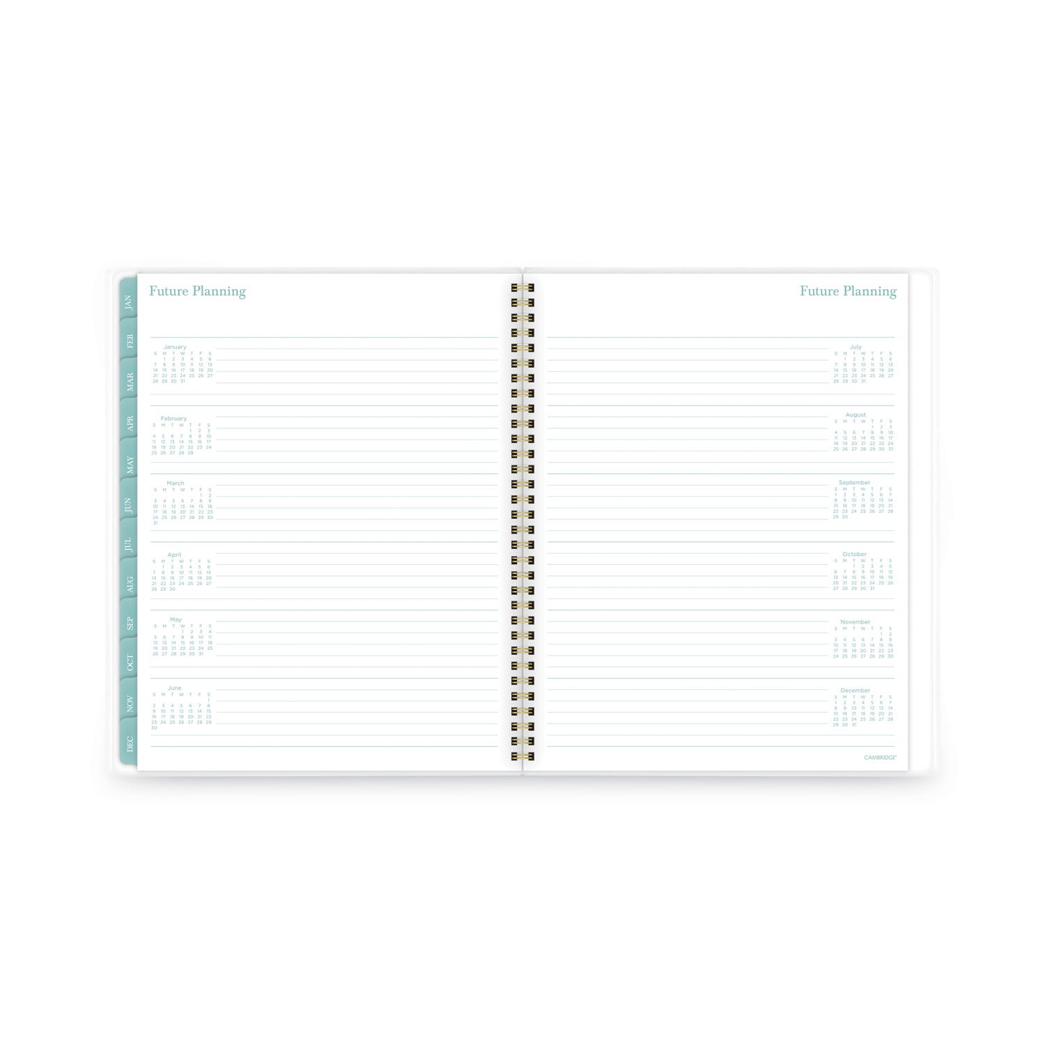 Cambridge Bali Weekly/Monthly Planner, Bali Leaf Artwork, 11 x 8.5, Green/White Cover, 12-Month (Jan to Dec): 2023
