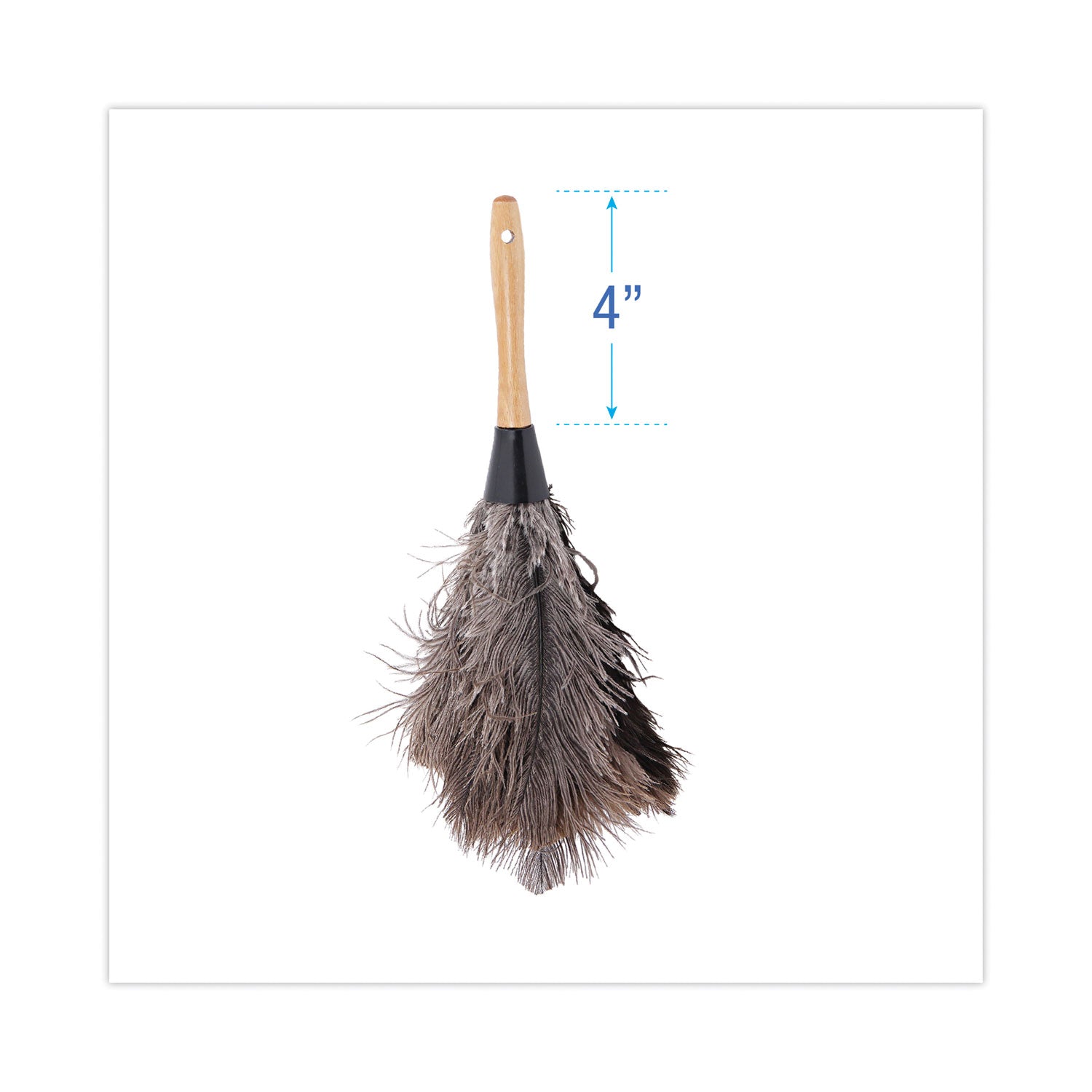 Boardwalk Professional Ostrich Feather Duster, 4" Handle