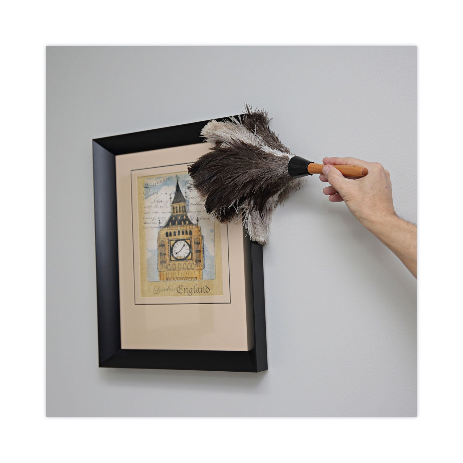 Boardwalk Professional Ostrich Feather Duster, 7" Handle