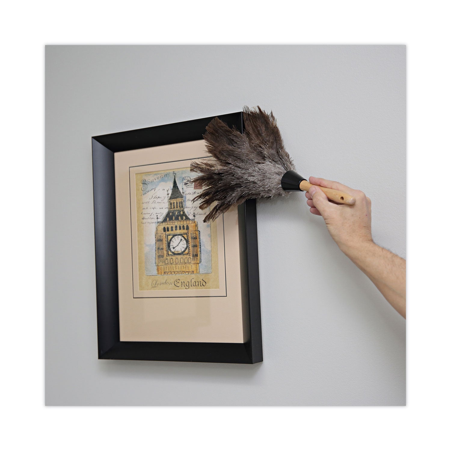 Boardwalk Professional Ostrich Feather Duster, Gray, 14" Length, 6" Handle