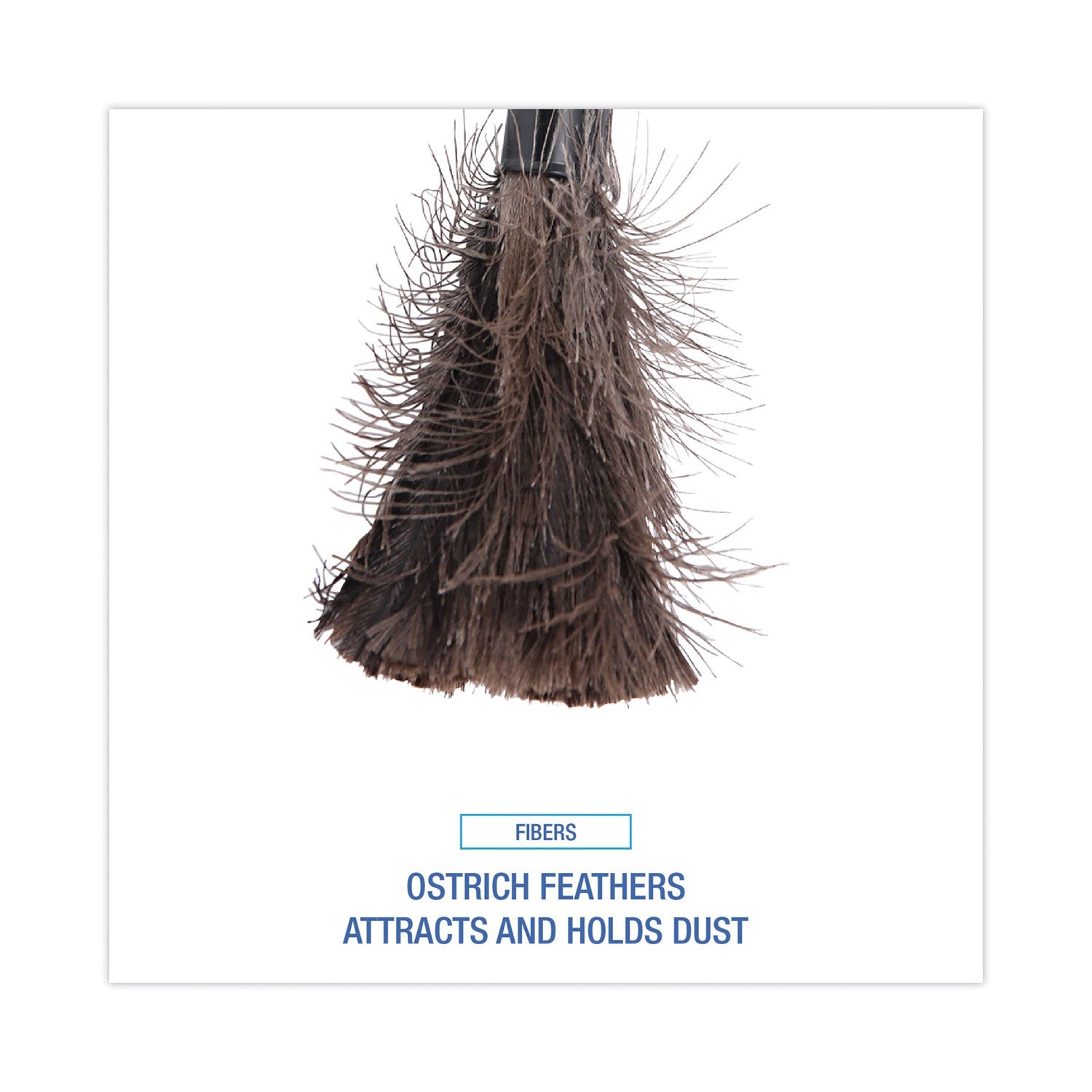 Boardwalk Retractable Feather Duster, 9" to 14" Handle