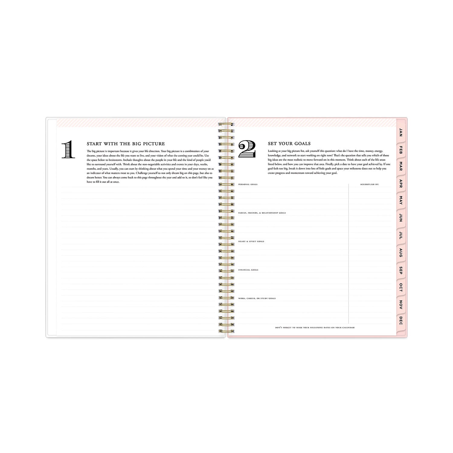 Blue Sky Day Designer Coming Up Roses Create-Your-Own Cover Weekly/Monthly Planner, 11 x 8.5, 12-Month (Jan to Dec): 2023