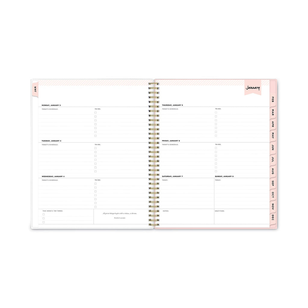 Blue Sky Day Designer Coming Up Roses Create-Your-Own Cover Weekly/Monthly Planner, 11 x 8.5, 12-Month (Jan to Dec): 2023