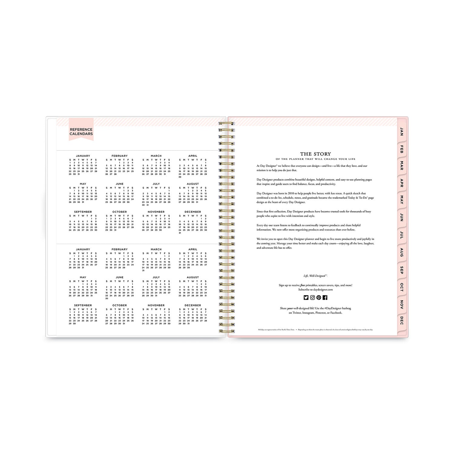 Blue Sky Day Designer Coming Up Roses Create-Your-Own Cover Weekly/Monthly Planner, 11 x 8.5, 12-Month (Jan to Dec): 2023