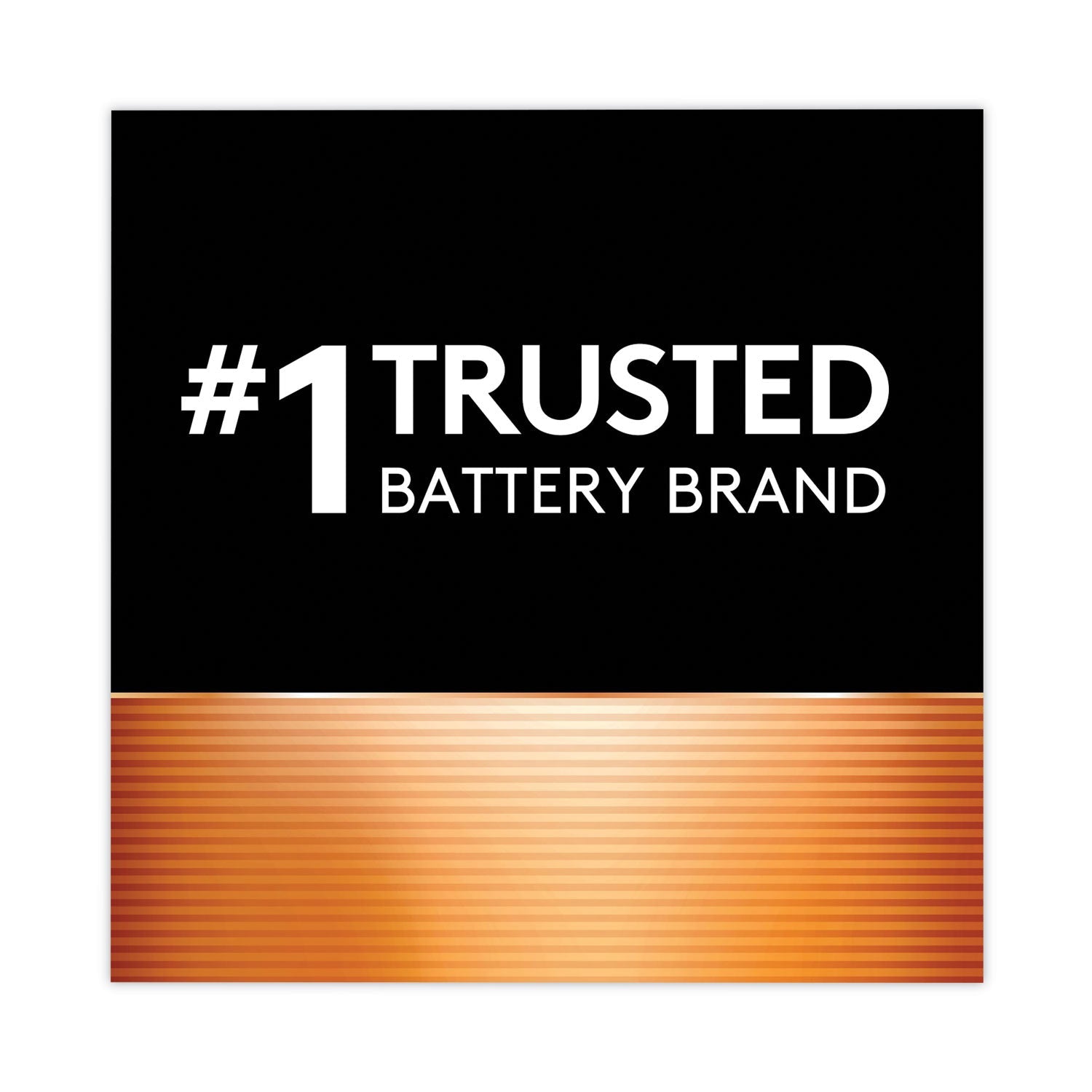 Duracell Power Boost CopperTop Alkaline AA Batteries, 12/Pack