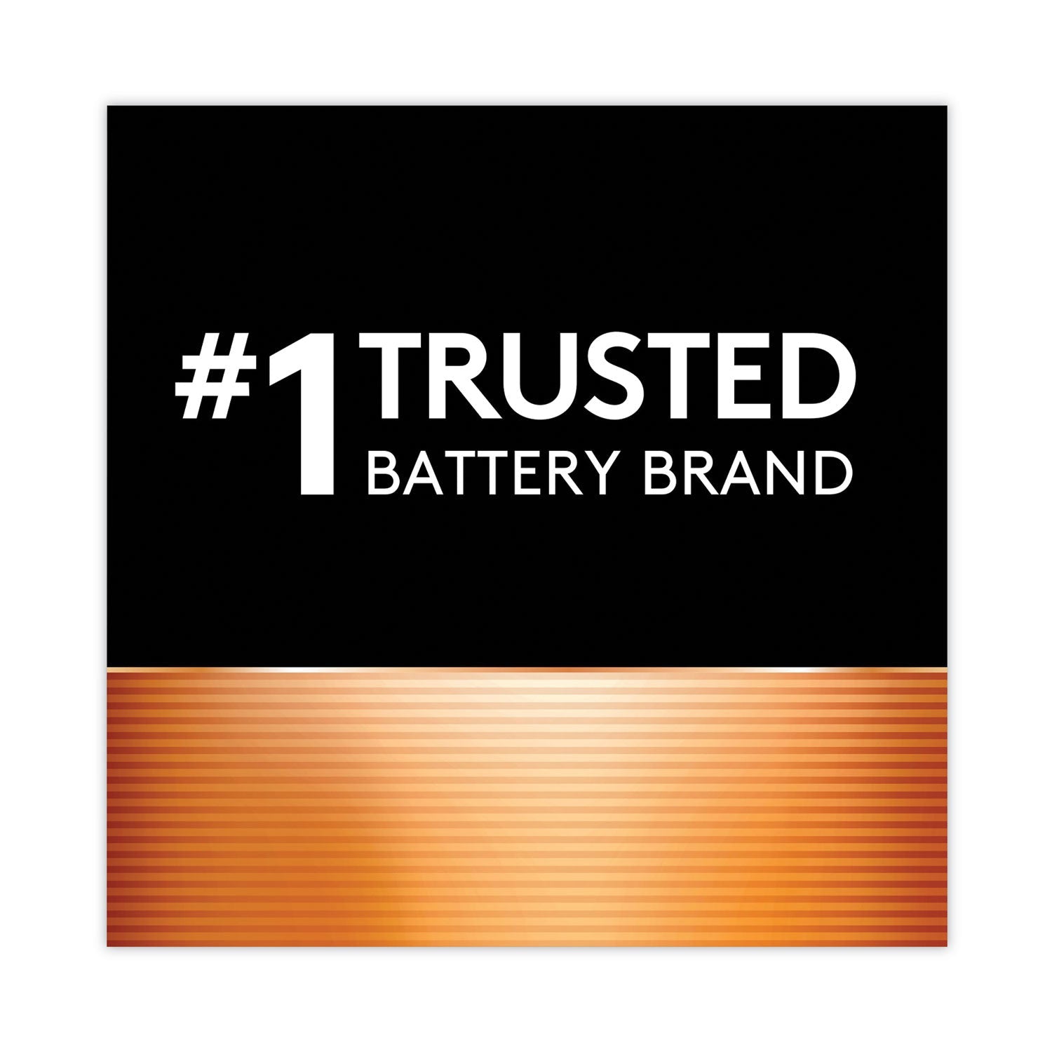 Duracell Power Boost CopperTop Alkaline AAA Batteries, 24/Box