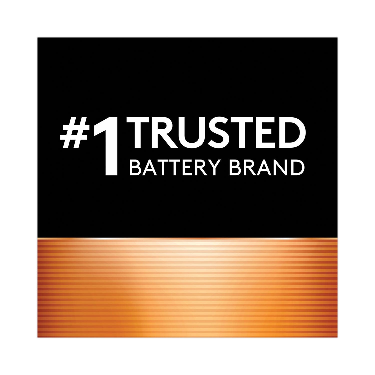 Duracell Power Boost CopperTop Alkaline AA Batteries, 24/Box