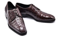 Castangia Crocodile Skin Shoes