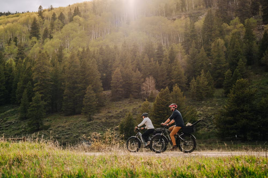 Aventon AVENTURE.2 All Terrain Step-Thru E-Bike