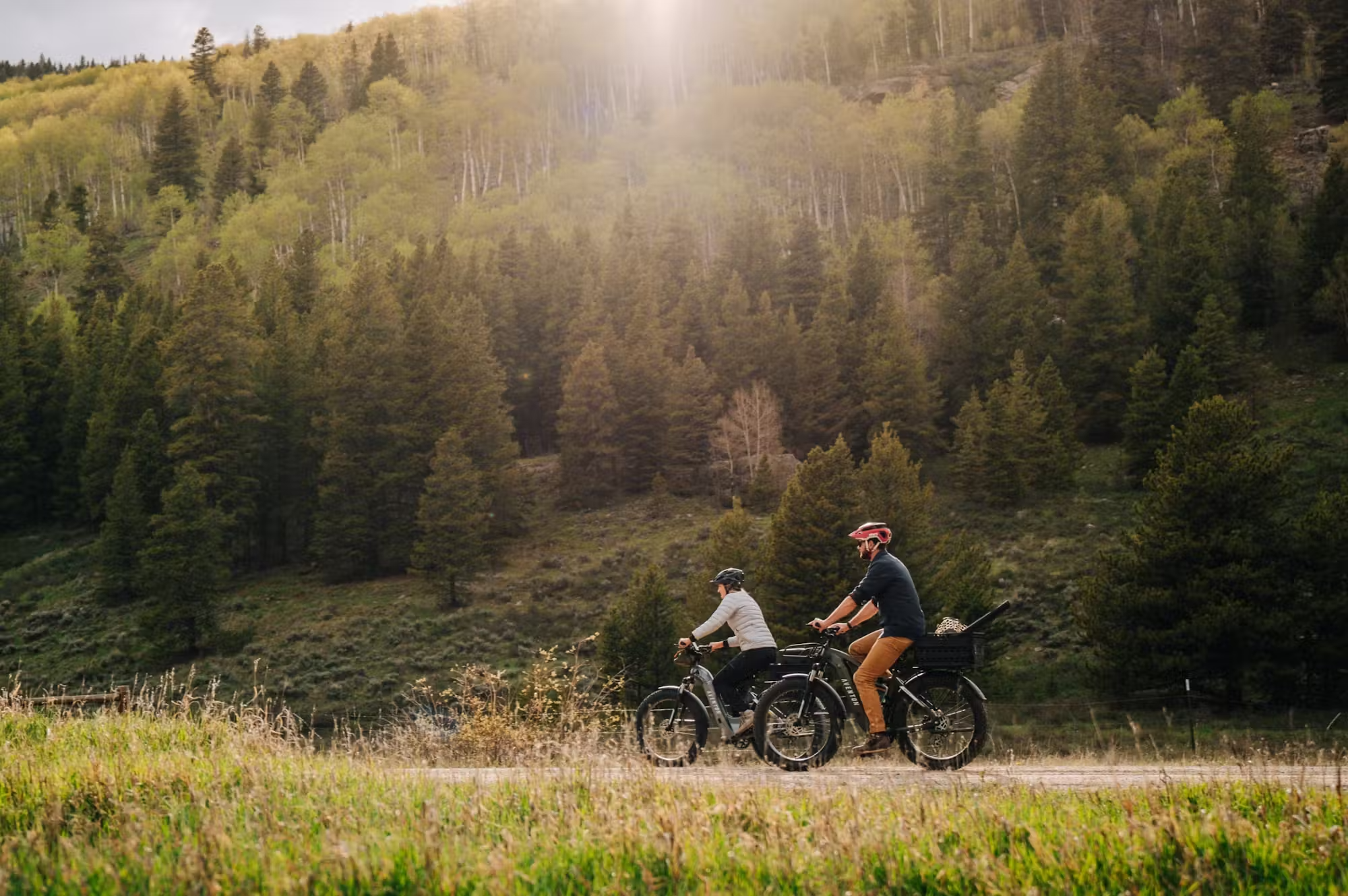 Aventon AVENTURE.2 All-Terrain Step-Over E-Bike