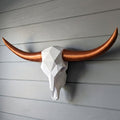 Low Poly Steer Horns and Skull