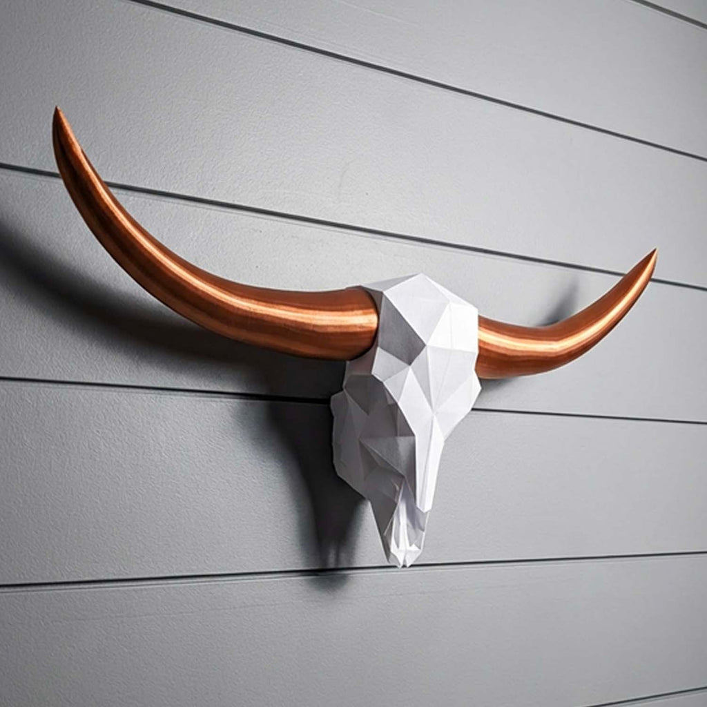 Low Poly Steer Horns and Skull