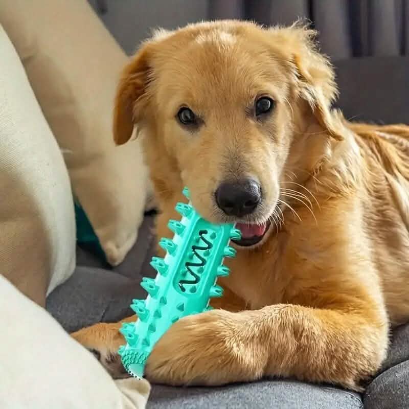 Dog Chew Toys Dog Toothbrush Stick